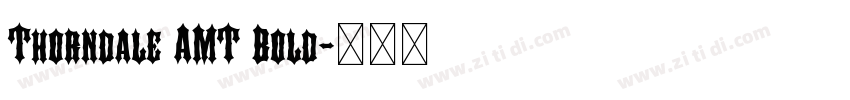 Thorndale AMT Bold字体转换 Thorndale AMT Bold字体转换
